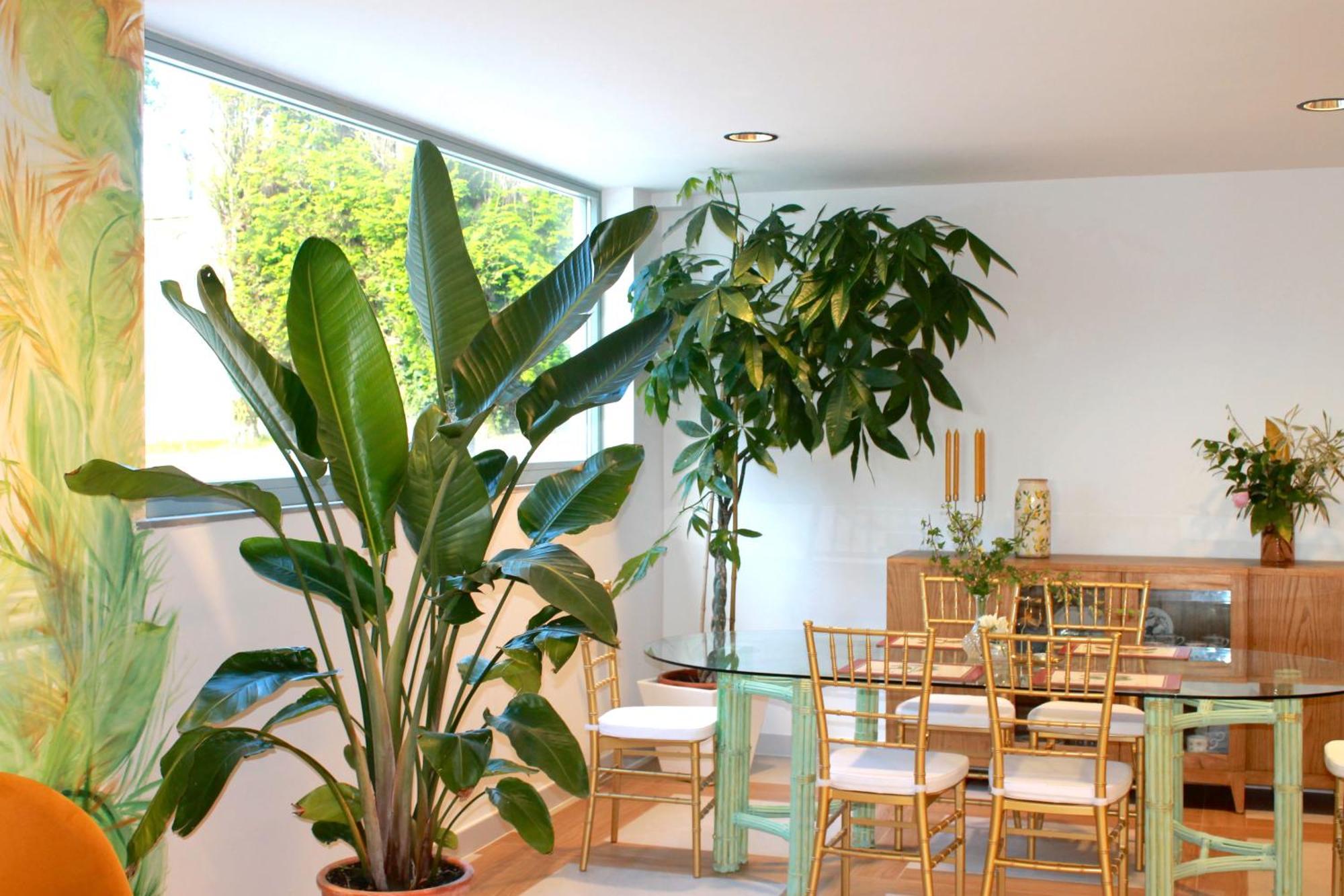 Muros de Nalón Hotel Boutique Villa Del Marques מראה חיצוני תמונה